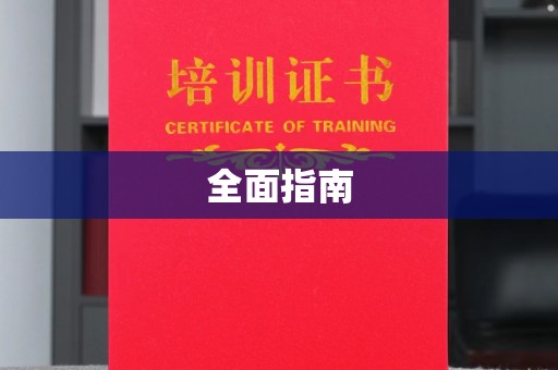 大悟全面指南